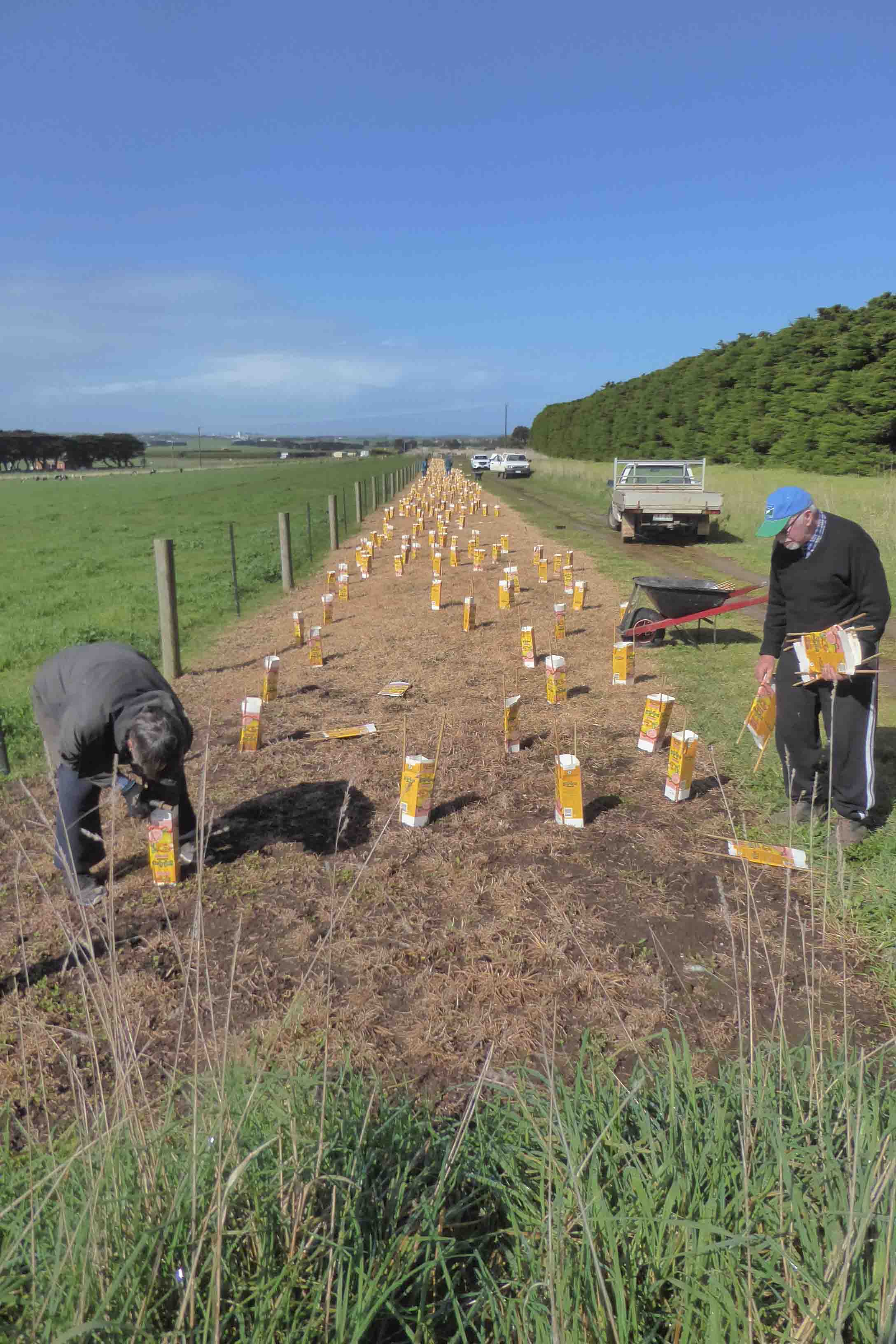 Landcare