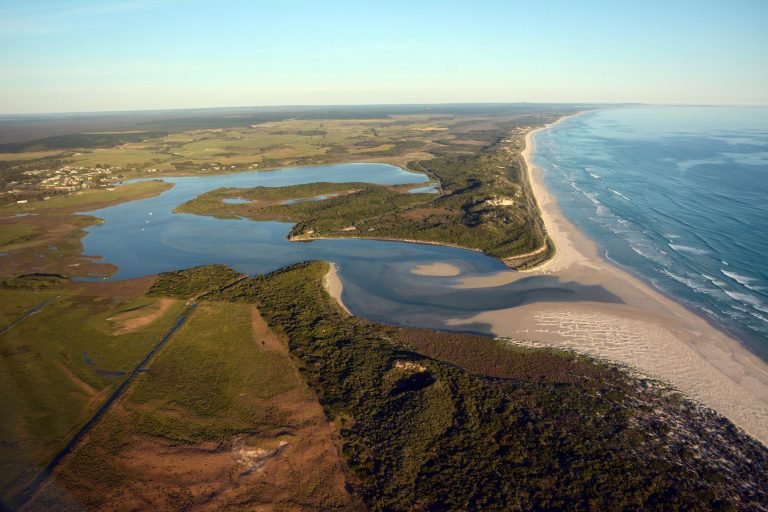 Estuary management