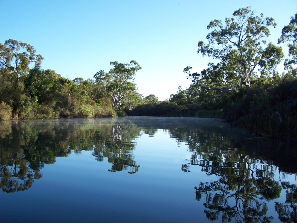 Water for the environment