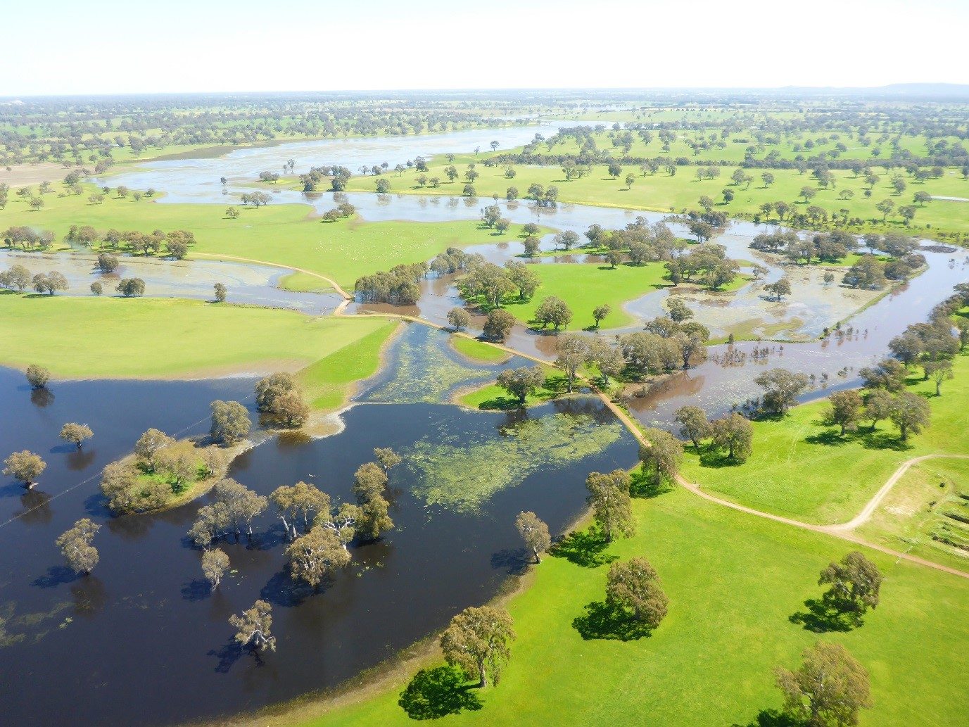 Floodplain management 