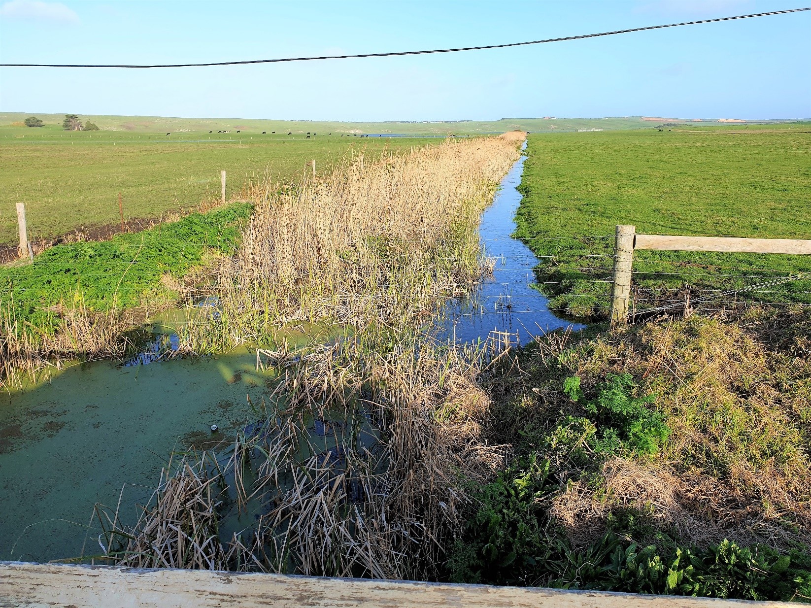 Rural Drainage Strategy