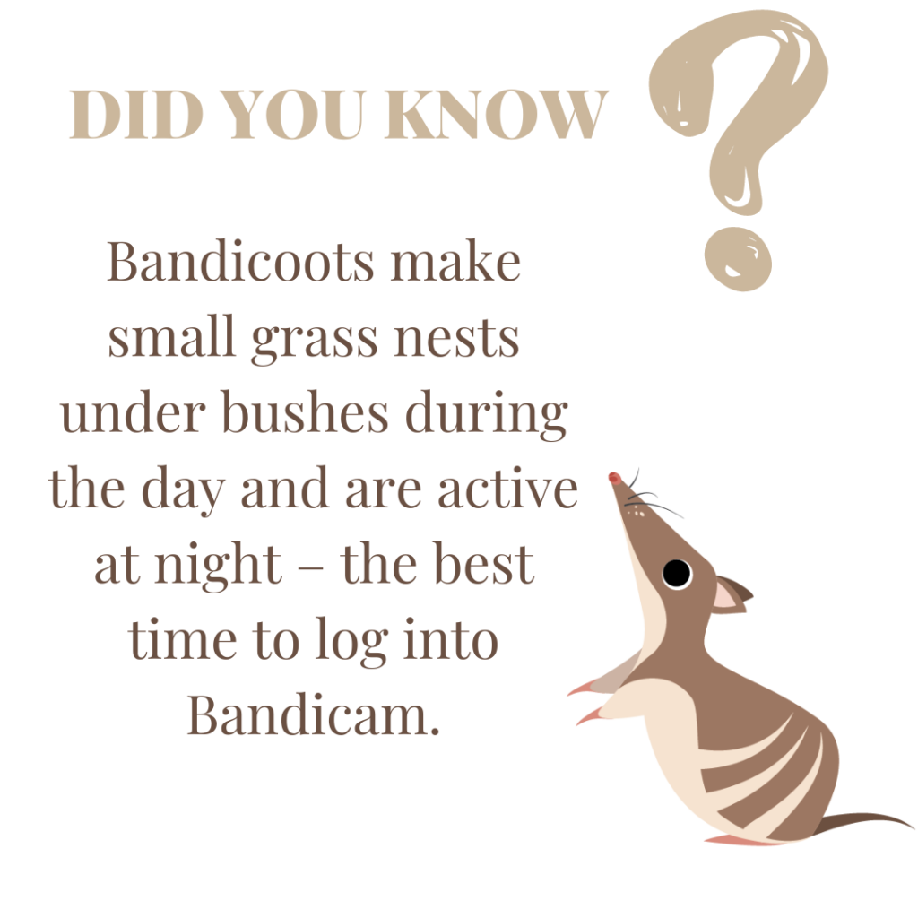 LIVESTREAM: Bandicam | Glenelg Hopkins CMA