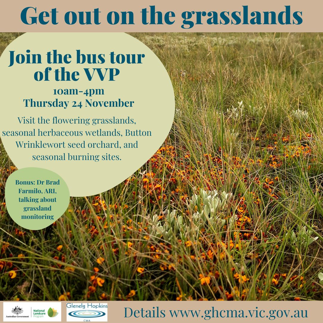 Join us on the grasslands of the VVP Glenelg Hopkins CMA